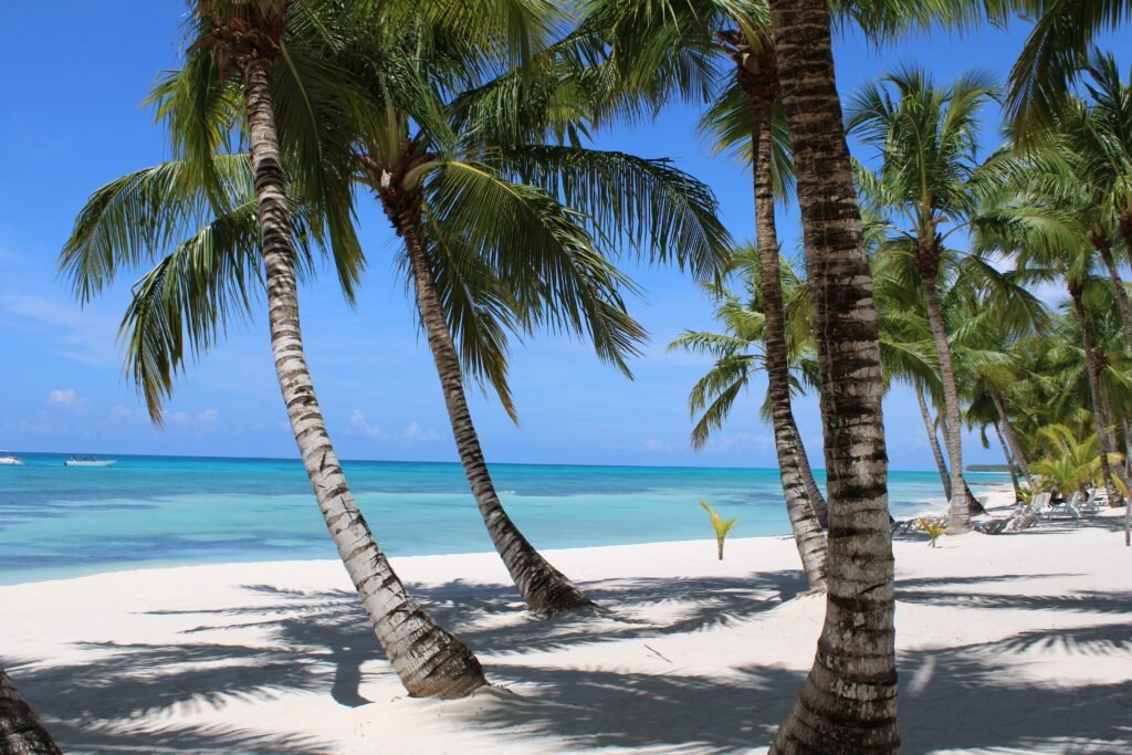 Saona Island Regular from Miami