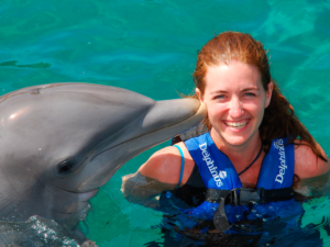 Dolphin Explorer Bestv 1