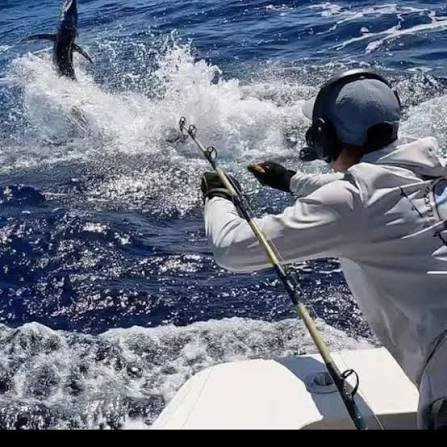 Pesca en alta mar (desde Punta Cana) from Houston