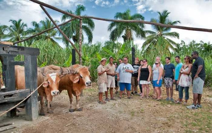 Jeep Safari Truck Adventure (desde Bayahibe) from Chicago