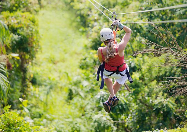 Zip Line + Scape Park from Newark