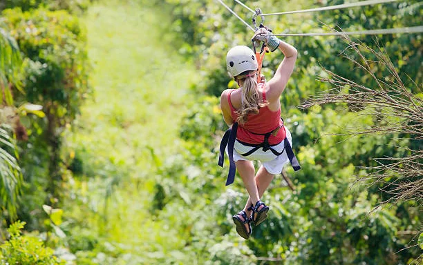 Zip Line + Scape Park from Brussels