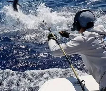 Pesca en alta mar (desde Punta Cana) from Brussels