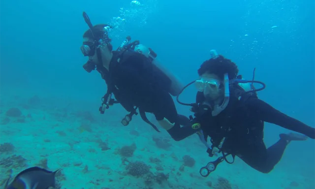 Discover Scuba Diving from Brussels