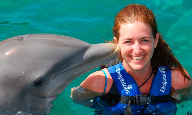 Dolphin Explorer from Brussels