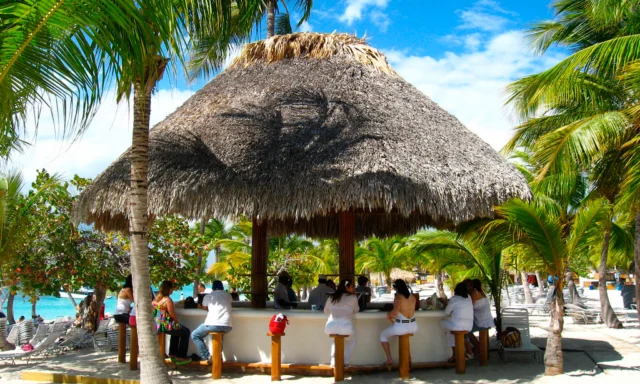 Isla Catalina (Santo Domingo, Juan Dolio y Punta Cana from Bru...